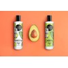Organic Shop Repairing Shampoo for Damaged Hair Avocado and Olive,