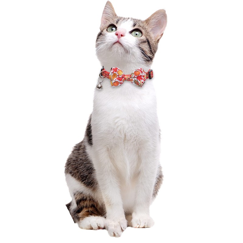 Lamphyface Thanksgiving Cat Collar Fall Autumn Breakaway with Bow Tie