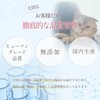 Cat Lactic Acid Bacteria Supplement, Intestinal Environment, Immune, Oral, Brushy,