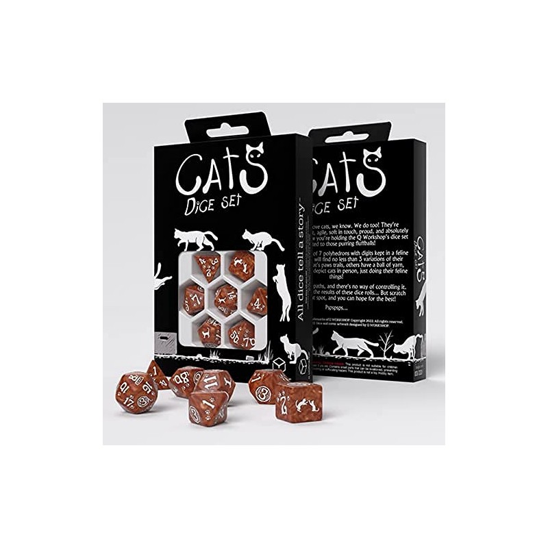 Q-Workshop QWOCAT72 Dice