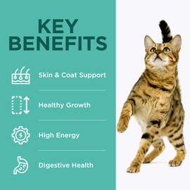 OPtimeal® Tender Morsels with Beef & Rabbit in Savory Sauce Adult Cat Food