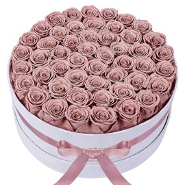 50-Piece Forever Real Roses in a Velvet Box, Flowers for Delivery Prime, Valentines Day Roses, Presereved Flowers Anniversary Birthday Gifts for Women Mom and Wife (Dusty Rose)