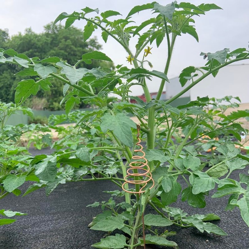 Electroculture Copper Gardening Antenna 2 Pack, Electroculture Copper Wire Coil