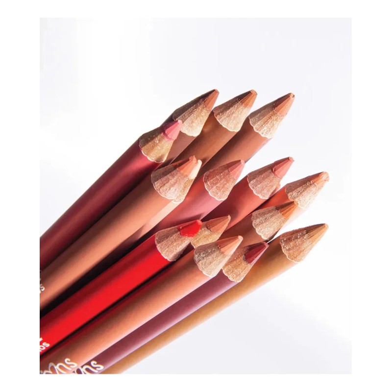 Set Delineadores Labios Beauty Creations 16 Tonos + Estuche Color