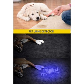 DARKBEAM UV 395nm Flashlight Ultraviolet led Light Blacklight Wood's lamp Portable 400nm Mini Detector for Dog/Cat Urine Pet Stains, Anti-counterfeiting Identification, Resin Curing, AA