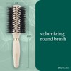 EcoTools Volumizing Round Hairbrush, Achieve Full Blow Out, Heat Resistant