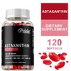 Astaxanthin 120 Capsules Dietary Supplement 12mg per Capsule Provides Antioxidant Benefits for Overall Health Support Non-GMO, 2 Count, 120 Tablets / 아스타잔틴 120캡슐 건강 보조 식품 캡슐당 12mg 전반적인 건강 지원 항산화 효과 제공 비GMO, 2개, 120정