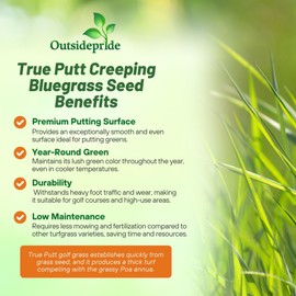 Outsidepride True Putt Perennial Creeping Bluegrass Seed - 5 Lbs. Shade-Tolerant Bluegrass for Golf Courses & Home Putting Greens - Ideal for Dense, Fine-Textured Lush Turf in Low-Light Areas