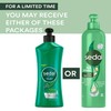 Sedal Curls Defined Hair Comb Cream with Coconut Oil, Provitamin