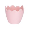 Ideen mit Herz Decorative Egg Shells | Table Decoration |