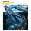 Orzero (6 Pack) Screen Protector Compatible for R36 Max/R36 Max