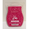 Scentsy Rockin' Ruby Razz Bar Wickless Candle Tart Wax, 8