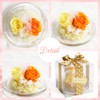 TEATSIGHT Preserved Flower Arrangement, Wrapped, In a Glass Pot, 2 Flowers