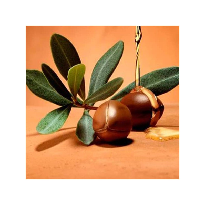 Organic Argan Oil Liquid Marseille Soap