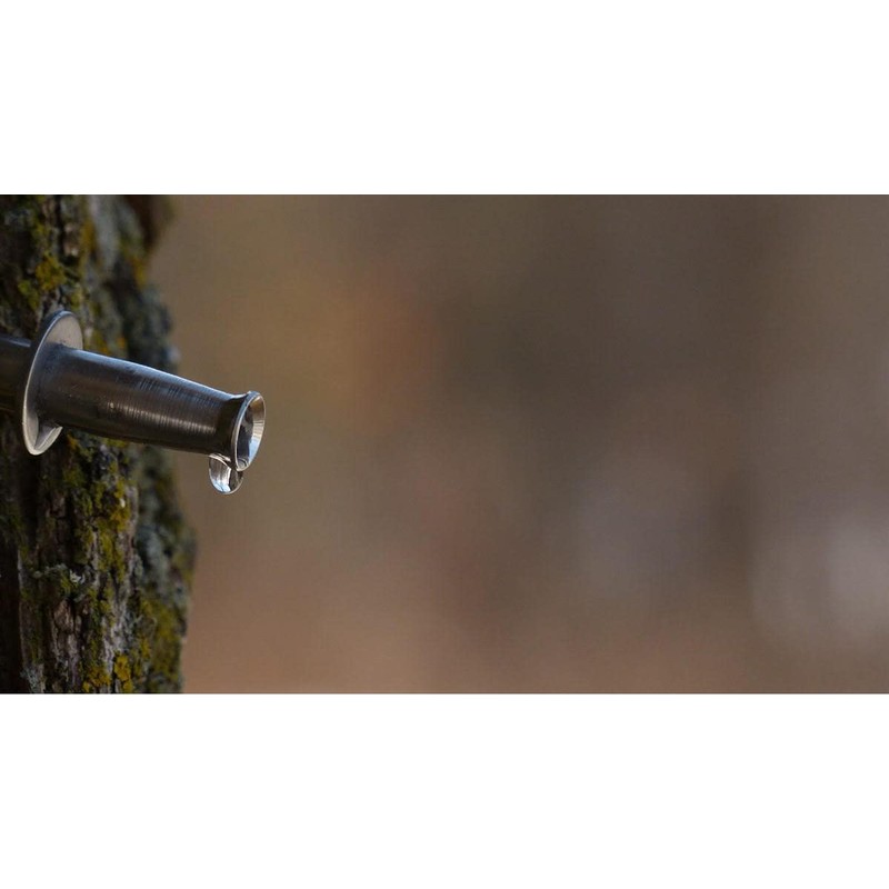 Stainless Steel Taps - Maple Sap Pail Spout & Hook