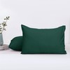 Aspire Homeware Pillow Cases 2 Pack – 100% Brushed Microfiber