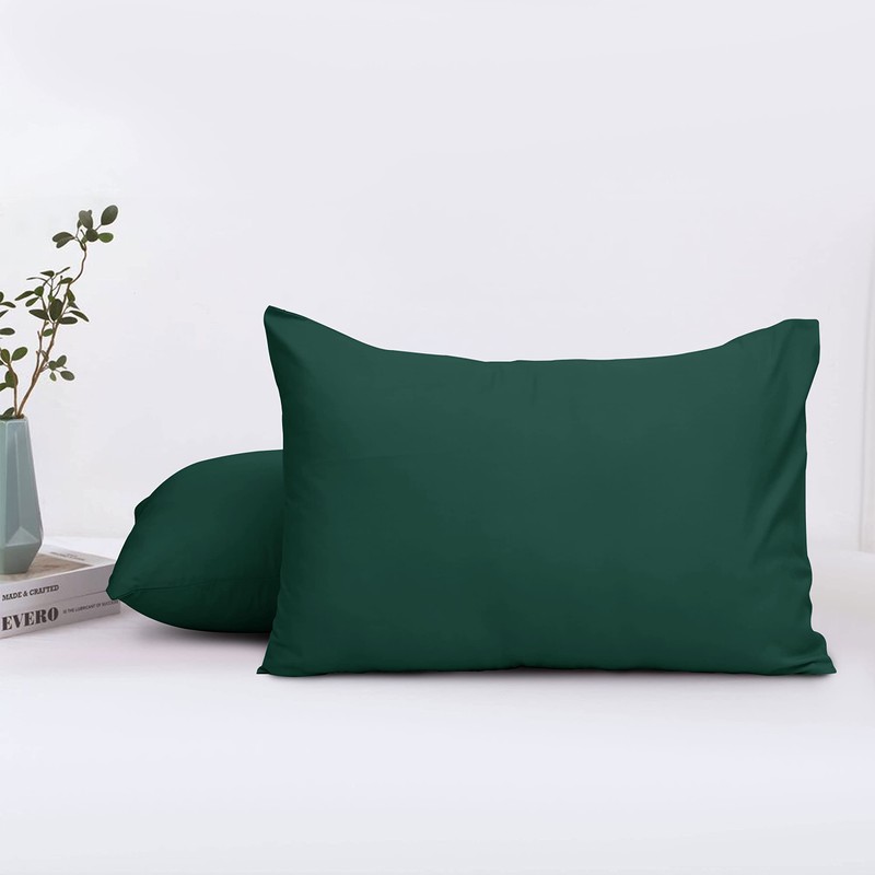 Aspire Homeware Pillow Cases 2 Pack – 100% Brushed Microfiber