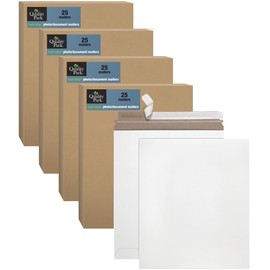 Quality Park 100-Pack, 6 x 8 Stay Flat Rigid Photo Document Mailers, Redi-Strip Self Seal Closure (QUA64007)