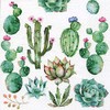 Anniversary House PJ340157 Tiflair Napkins with Cactus and Succulents 3 Ply, Multi-Colour