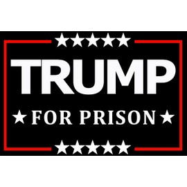 10 Pack Trump for Prison Anti Trump Stickers Laptop Bumper Decal Window Waterproof Car Stickers