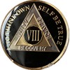 Ranger Industries 8 Year AA Medallion Glossy Classic Black Sobriety