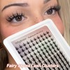 Fairy Lash Clusters Manga Cluster Eyelash Whybraw Anime Lash Clusters