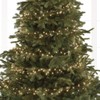 Lumineo 500 LED Warm White Christmas Compact Lights Set, Green