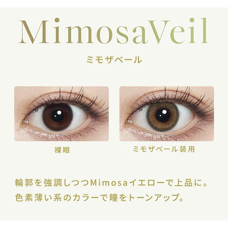 【カラコン 30枚入り 1箱】 WAVEワンデー UV リング plus フラワーコレクション ミモザベール 【BC】8.7