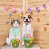 Easter Dog Bandanas Puppy Scarf - Easter Eggs Bunny Peeps