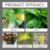Soil Pro Activator,200G Soil Activator for Plants,Soilactivator for Fruit Trees-Promotes