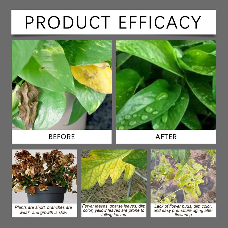 Soil Pro Activator,200G Soil Activator for Plants,Soilactivator for Fruit Trees-Promotes