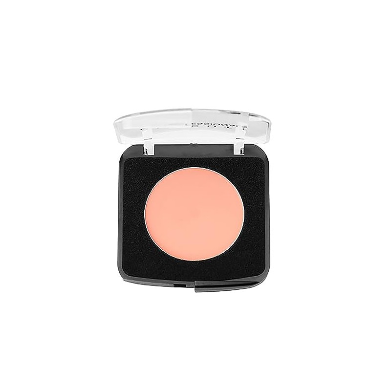 Chacott Stage Foundation 407