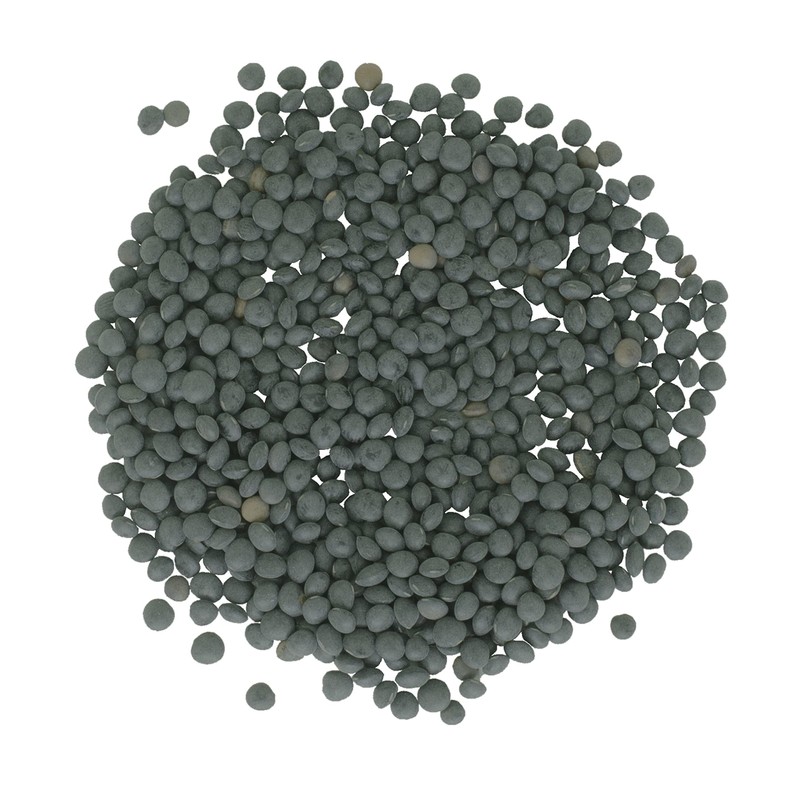 Black Lentils | Black Beluga Caviar Lentils | 1 lb