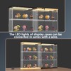 Acrylic Display Case for with LED Light Top Collectibles