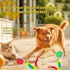 JinRui-T 2 PCS Active Rolling Ball with Tail for Dogs,Interactive