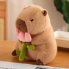 NatureMan Cute Capybara Stuffed Animals,Kawaii Capybara Plush Toys, 30cm Capybara