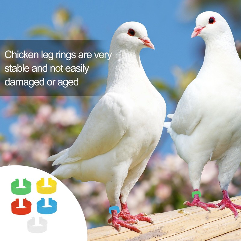 20Pcs Chicken Leg Rings Reusable Chicken Identification Leg Bands Multicoloured