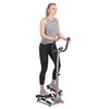 Sunny Health & Fitness Grey 250 lbs. Max Weight Twist