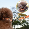 NESTROAD Dog Collar, Adjustable, Nighttime Reflective, For Small, Medium, and