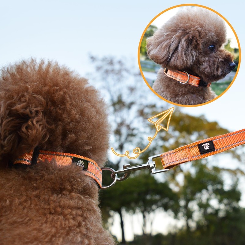 NESTROAD Dog Collar, Adjustable, Nighttime Reflective, For Small, Medium, and