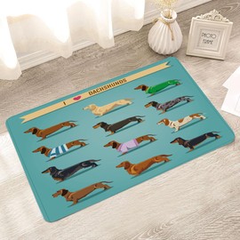 HOSNYE Dachshund Doormat Bath Mats for Bathroom Floor I Love Dachshunds Bath Mat Non-Slip Water Absorbent Bath Carpet for Bathtub Bathroom Floor Tub and Shower 16X24 in, 15.7x23.6 inch