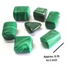 Prajet Crystal Natural Malachite Tumbled Stones 100 Grams Polished 0.75–1