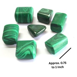 Prajet Crystal Natural Malachite Tumbled Stones 100 Grams Polished 0.75–1 Inch Natural Green Tumbles for Collection Décor Gift