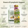 Lymphatic Drainage Support Supplement | Advanced Lymphatic Detox Aid &