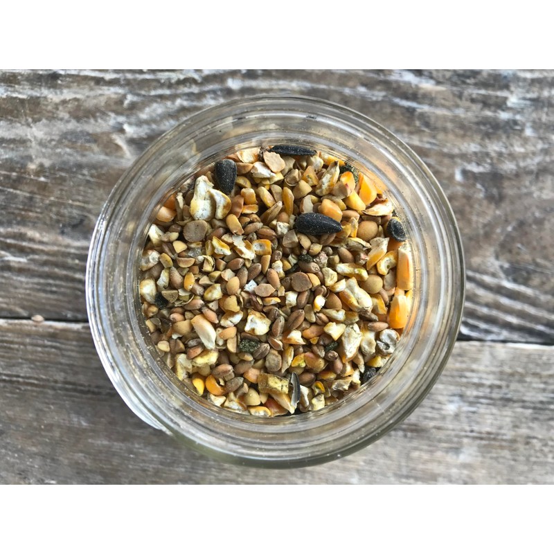 Wholesome Harvest All Flock Feed, High Nutrition Layer for Flocks,