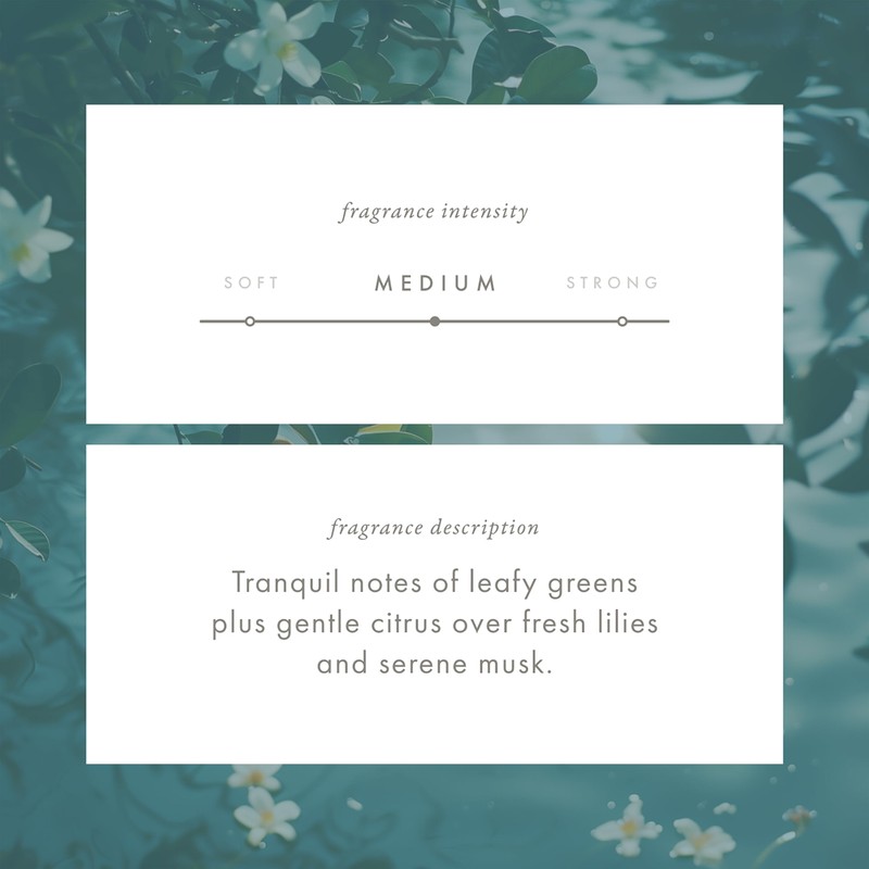 ScentAir Monthly Fragrance Cartridge for Whisper Home - Tranquil Waters