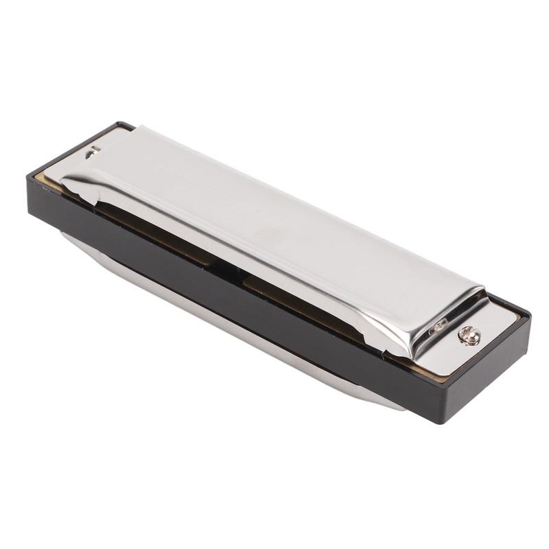G Key Harmonica 10 Hole 20 Tone Mouth Organ Rust