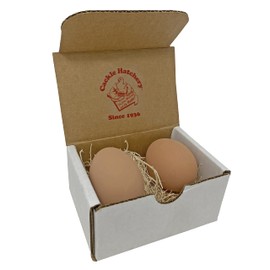 Ceramic Nest Eggs (2ct) (Brown)