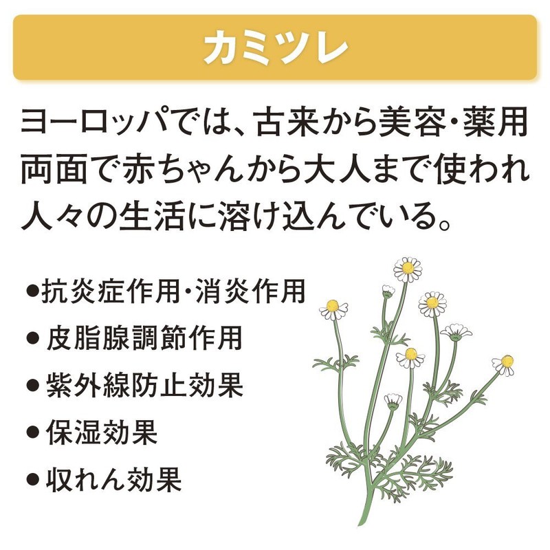 SUPER MiLD Conditioner, Refill Treatment, 3.3 fl oz (1 L)