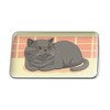 Chubby British Short Hair Grey Cat Rectangle Lapel Hat Pin